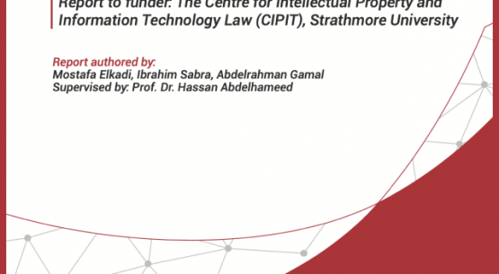 White Paper on Responsible AI Usage by Social Media Platforms from African Human Rights Law Perspective